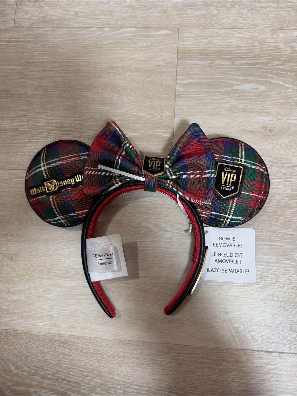 Disney VIP Tour Ears